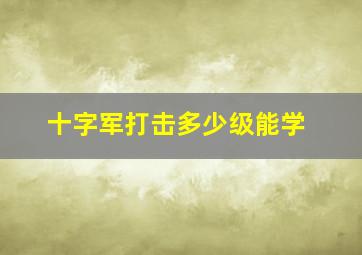 十字军打击多少级能学