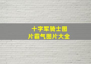 十字军骑士图片霸气图片大全