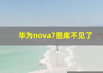 华为nova7图库不见了