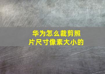 华为怎么裁剪照片尺寸像素大小的