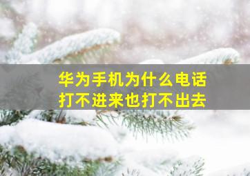 华为手机为什么电话打不进来也打不出去