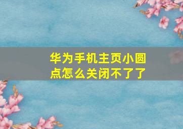 华为手机主页小圆点怎么关闭不了了