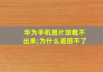 华为手机图片加载不出来;为什么返回不了