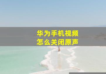 华为手机视频怎么关闭原声