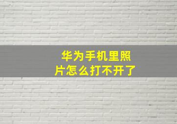 华为手机里照片怎么打不开了