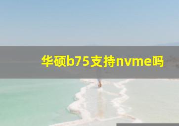 华硕b75支持nvme吗