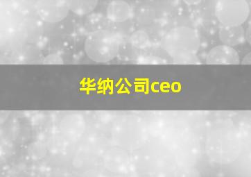 华纳公司ceo