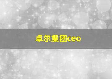 卓尔集团ceo