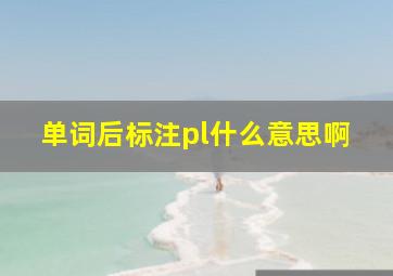 单词后标注pl什么意思啊