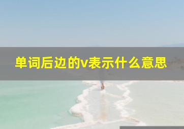 单词后边的v表示什么意思