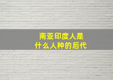 南亚印度人是什么人种的后代