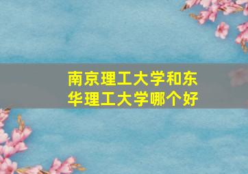 南京理工大学和东华理工大学哪个好