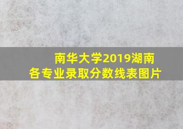 南华大学2019湖南各专业录取分数线表图片