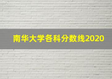 南华大学各科分数线2020