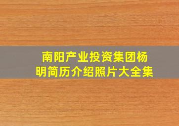 南阳产业投资集团杨明简历介绍照片大全集