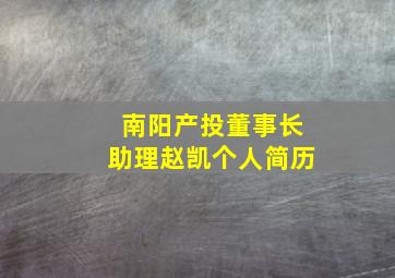 南阳产投董事长助理赵凯个人简历