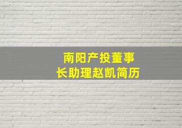 南阳产投董事长助理赵凯简历