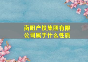 南阳产投集团有限公司属于什么性质