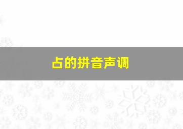 占的拼音声调