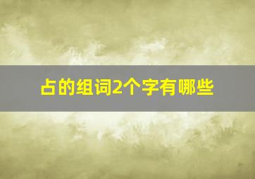 占的组词2个字有哪些