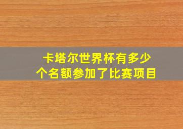 卡塔尔世界杯有多少个名额参加了比赛项目