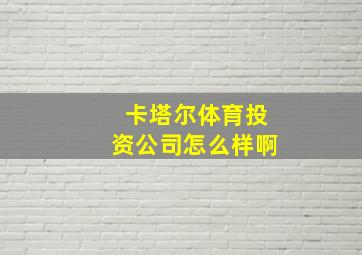 卡塔尔体育投资公司怎么样啊