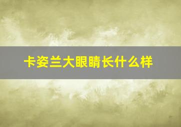 卡姿兰大眼睛长什么样