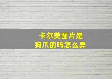 卡尔美图片是狗爪的吗怎么弄