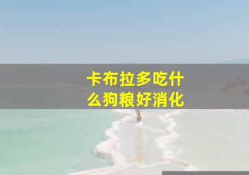 卡布拉多吃什么狗粮好消化