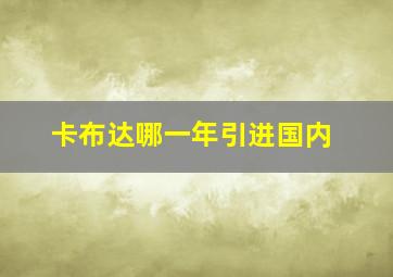 卡布达哪一年引进国内