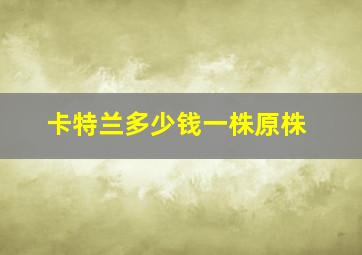 卡特兰多少钱一株原株