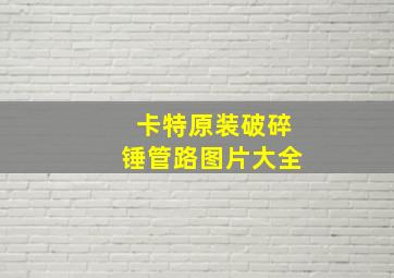 卡特原装破碎锤管路图片大全