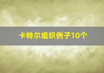 卡特尔组织例子10个