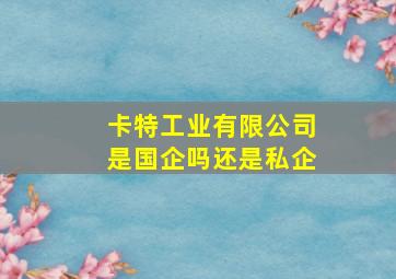 卡特工业有限公司是国企吗还是私企