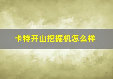 卡特开山挖掘机怎么样