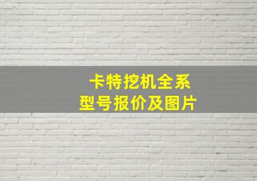 卡特挖机全系型号报价及图片