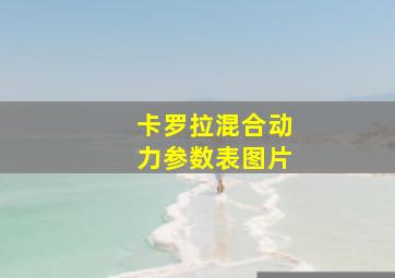 卡罗拉混合动力参数表图片