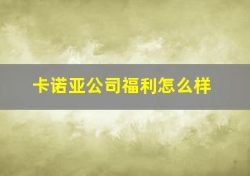 卡诺亚公司福利怎么样