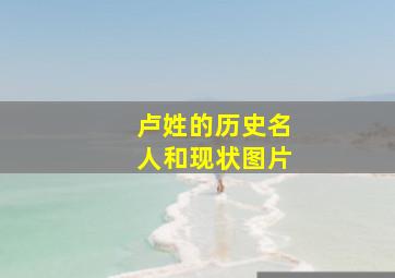 卢姓的历史名人和现状图片