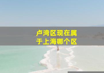 卢湾区现在属于上海哪个区