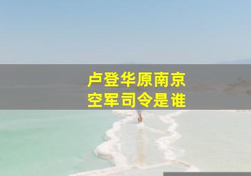 卢登华原南京空军司令是谁