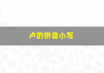 卢的拼音小写