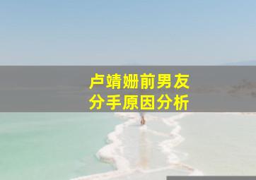 卢靖姗前男友分手原因分析