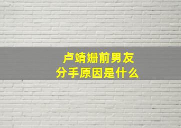 卢靖姗前男友分手原因是什么