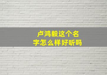 卢鸿毅这个名字怎么样好听吗