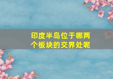 印度半岛位于哪两个板块的交界处呢