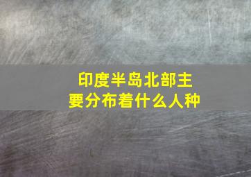 印度半岛北部主要分布着什么人种