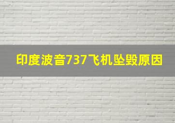 印度波音737飞机坠毁原因