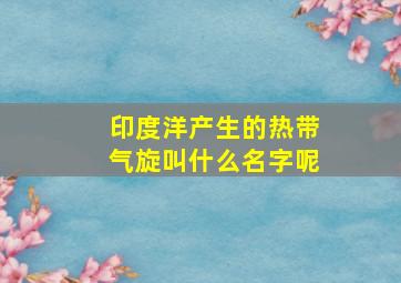 印度洋产生的热带气旋叫什么名字呢