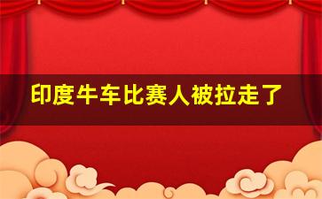 印度牛车比赛人被拉走了